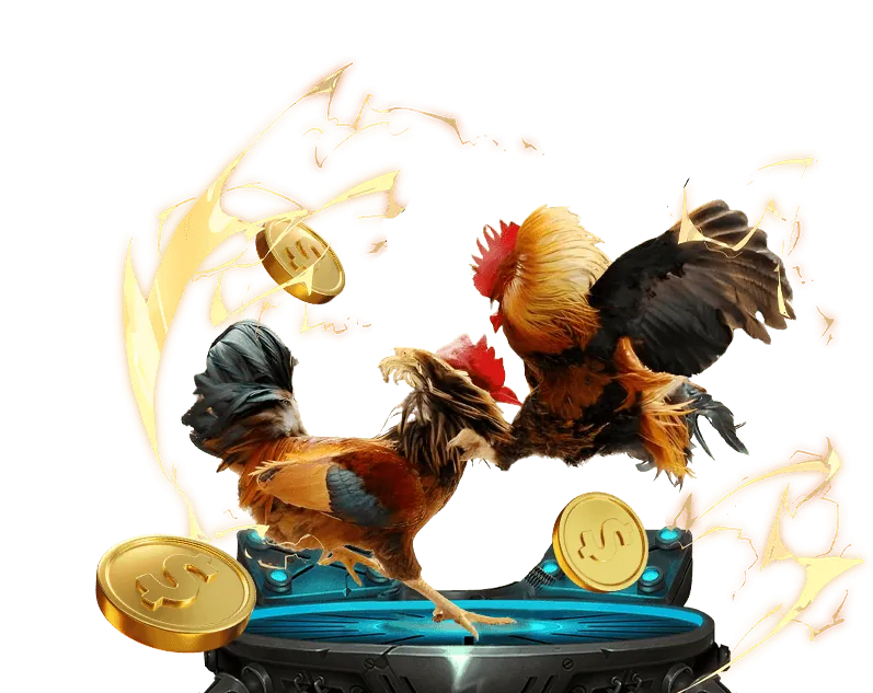 Đá Gà Trực Tiếp SV388